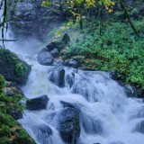 Big-Tree-Creek-Falls
