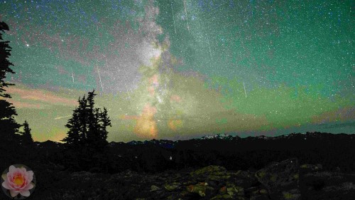 Perseids at Obstruction Point Olympic National Park