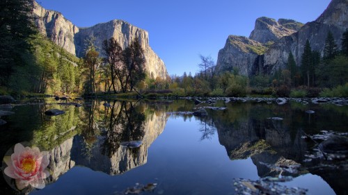 El-Capitan-Valley-View-Reflection.jpg