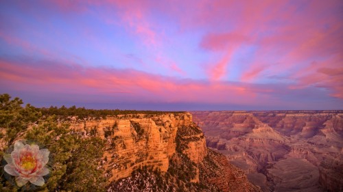 Grand-Canyon-Middle.jpg