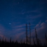Mt-Adams-Forest-Orion
