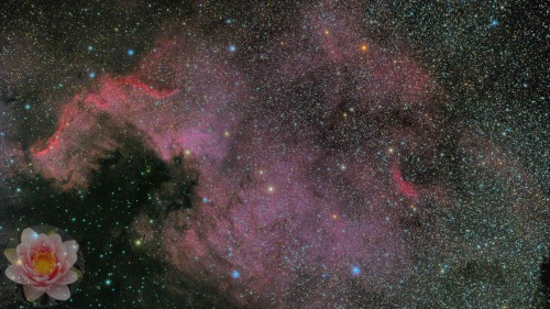 NGC-7000-North-America-Nebula.jpg