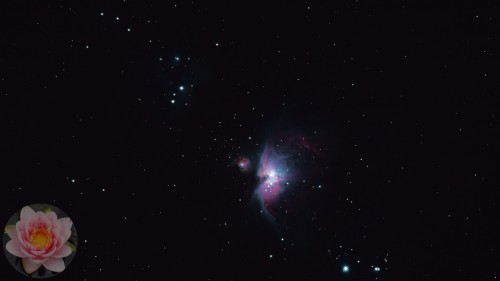 Orion-Nebula.jpg