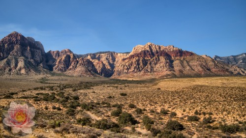 Red-Rock-Canyon.jpg