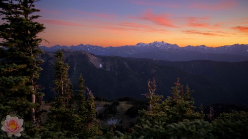 The-View-From-Obstruction-Point-Olympic-National-Park.jpg